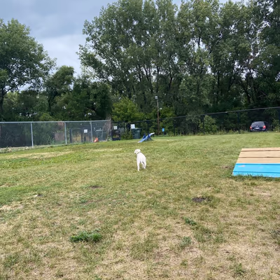 Dog Park at Orono Park